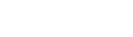 Logo for Stone Creek Christian Church